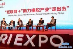 2018中国橡胶投资策略交流会-重磅大咖来袭-7月8日-北京站